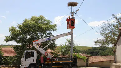 Trakya’da leylekler için güvenli yuvalar