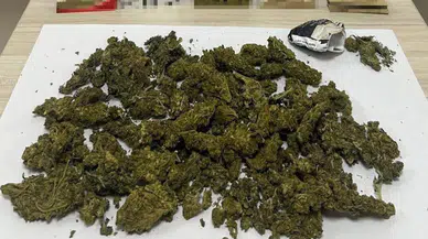 Sinop’ta uyuşturucu operasyonu: Çok sayıda gözaltı