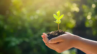 Geleceğe Nefes fidan bağışı nasıl yapılır? Bağışı ücreti ne kadar, nereden katılım sağlanır?