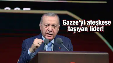 Cumhurbaşkanı Erdoğan'ın 2 yıllık barış mücadelesi