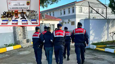 Ordu’da jandarmadan geniş çaplı operasyon: 27 şüpheli tutuklandı