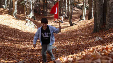 Adana’nın Yirce Kayın Ormanları sonbaharla birlikte renk cümbüşüne büründü
