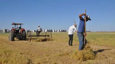 Tarımsal destek ödemesi başladı: 320,6 milyon lira çiftçilerin hesaplarında