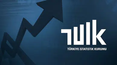TÜİK 2025 yapay zeka kullanım istatistikleri açıklandı!