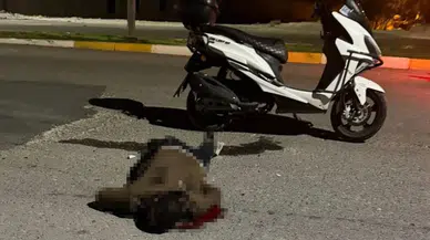Şanlıurfa'da bıçaklanan genç, motosikletiyle hastaneye giderken hayatını kaybetti!