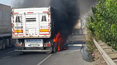 Şanlıurfa’da seyir halindeki tır alev aldı!