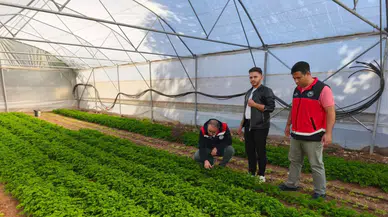 Beyşehir’de örtü altı yetiştiriciliği yaygınlaşıyor