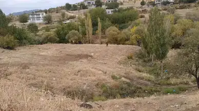 Diyarbakır'da ağaçlık alanda ceset bulundu