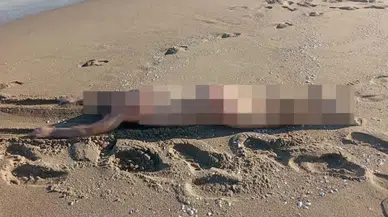Sahilde çıplak erkek cesedi bulundu