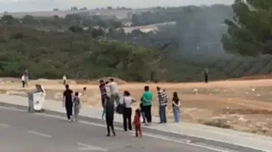 Adana’da 100 zeytin ağacı yandı: Yangını 10 yaşında bir çocuğun çıkardığı öne sürüldü!