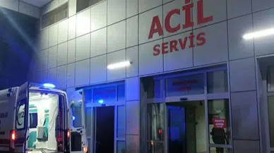 Sakarya'da şüpheli ölüm: Villada fenalaşan 2 kişi can verdi!