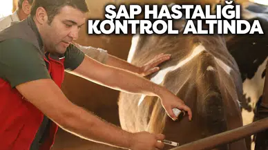 Tarım ve Orman Bakanlığı açıkladı