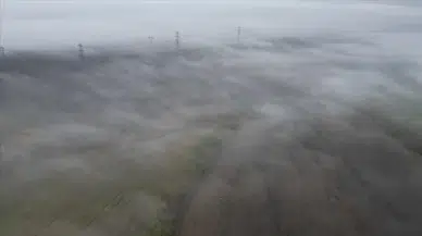 Tekirdağ'da yoğun sis: Göz gözü görmüyor!