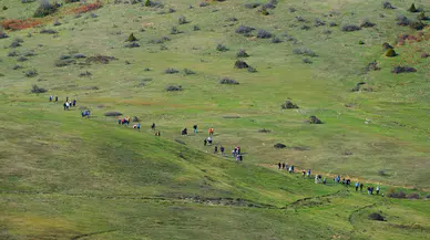 Sakarya’da sonbahar doğa yürüyüşleri renkli görüntülere sahne oldu