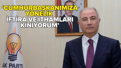 Efkan Ala’dan Özgür Özel’e tepki