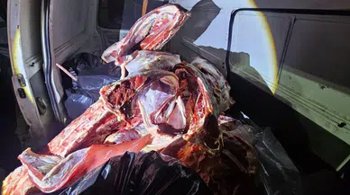 Hatay'da menşei belirsiz 1 ton et ele geçirildi!