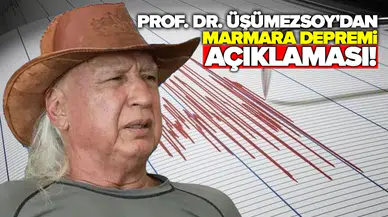 "Kuzeyde değil, güneyde!"