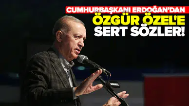 "Ayarları bozulmuş hakaret otomatı"