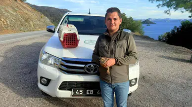 Muğla'da yasa dışı kınalı keklik satışı yapan kişiye 28 bin TL ceza!