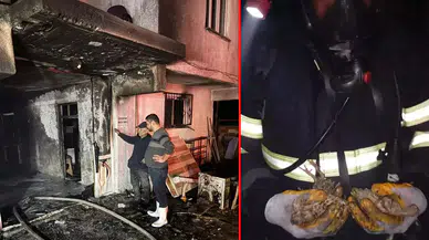 Balıkesir'de tavuk çiftliği yangını: 5 bin civciv telef oldu!