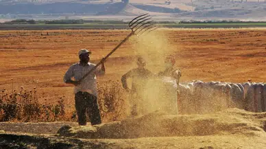 Eylül ayında tarımsal girdi fiyat endeksi yüzde 34,6 arttı