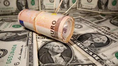 14 Kasım Cuma dolar ve euro kaç lira oldu?