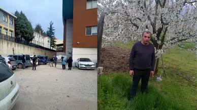 Budadığı ağaçtan düşen adam hayatını kaybetti