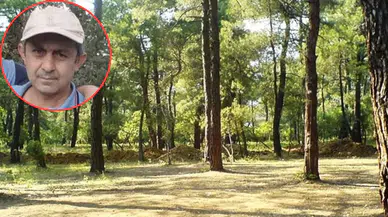 Üzerine düşen ağacın altında can verdi