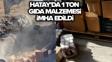 Halk sağlığını tehdit eden ürünler toprağa gömüldü