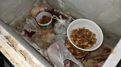 Zonguldak’ta skandal: Sağlığa aykırı üretim yapan pideci mühürlendi