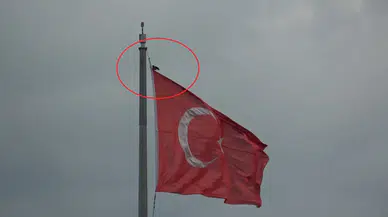 Şiddetli rüzgara meydan okuyan karga, Türk bayrağına konmakta ısrar etti!