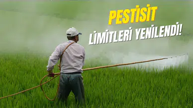 Resmi Gazete'de yayımlandı