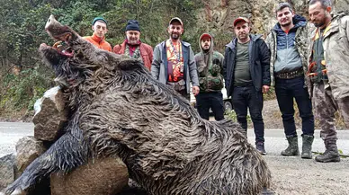 Trabzon’da 300 kiloluk domuz avlandı