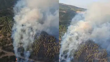 Aydın ve Kütahya’daki orman yangınlarına OGM'den yoğun müdahale!