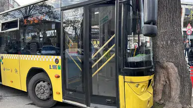 Bağcılar'da İETT otobüsü ağaca çarptı