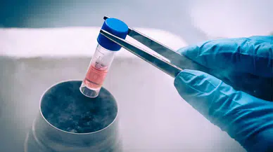 Körlüğe karşı kök hücre