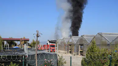 Manisa'da sera yangını!