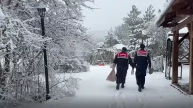 Yozgat’ta kar yağışı nedeniyle yaban hayvanlarına jandarma desteği