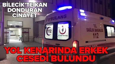 Bilecik'te yol kenarında karnından bıçaklanmış erkek cesedi bulundu