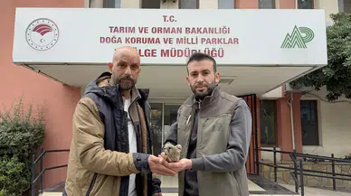 Adana’da yaralı bulunan kerkenez tedavi altına alındı