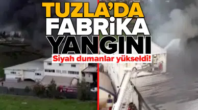Korku dolu anlar yaşandı!
