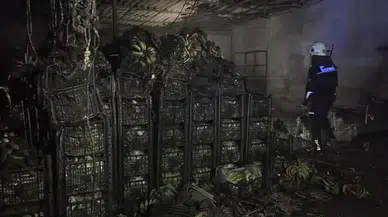 Antalya'da muz sarartma tesisinde yangın çıktı