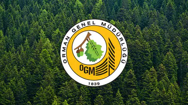 Orman Genel Müdürlüğü 26 yeni işçi alacağını duyurdu!