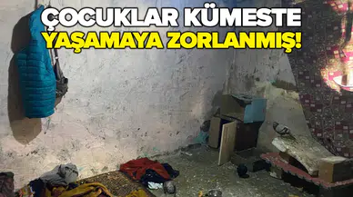 Ankara'da biri engelli 3 kardeş, yapılan ihbarla kurtarıldı