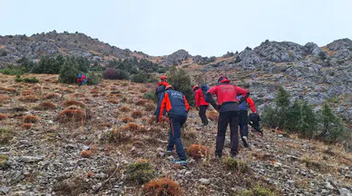 Erzincan’da kayalıklarda mahsur kalan 11 keçi için 3 saatlik kurtarma operasyonu