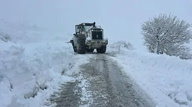 Yoğun kar ve tipi etkisini artırdı: 1117 yol ulaşıma kapandı