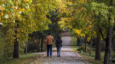 Yavaş yürüyenlere dikkat! Yürüyüş hızınız beyninizin yaşını ortaya çıkarıyor