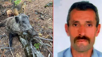 Erzincan Kemah’ta domuz saldırısı: Avcı hayatını kaybetti