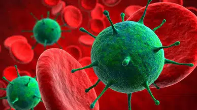 Yeni maymun çiçeği varyantı için kritik uyarı