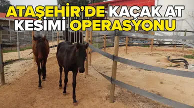 2 şüpheli gözaltında!